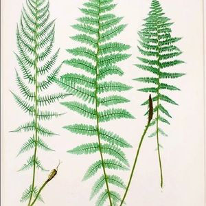 Meet your Posher, Tom